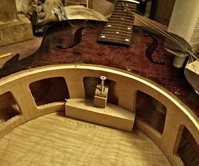 Brook Guitars dobro image