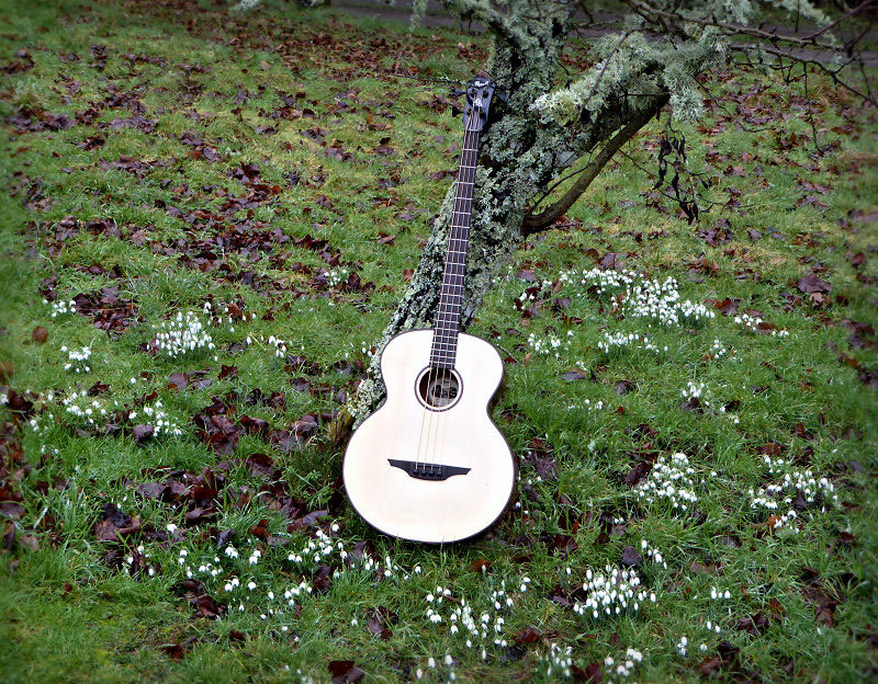 Brook Guitars Bass In The Orchard