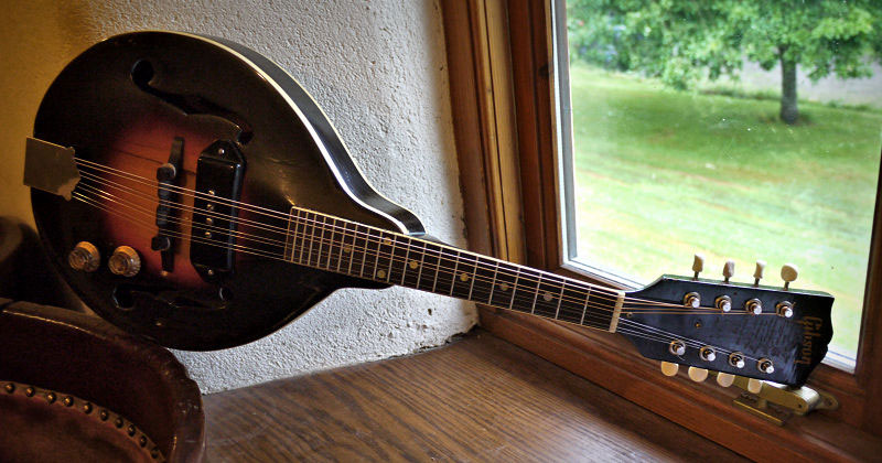 Vintage Gibson Mandolin