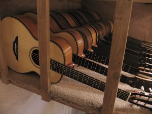 Guitars on the Shelf