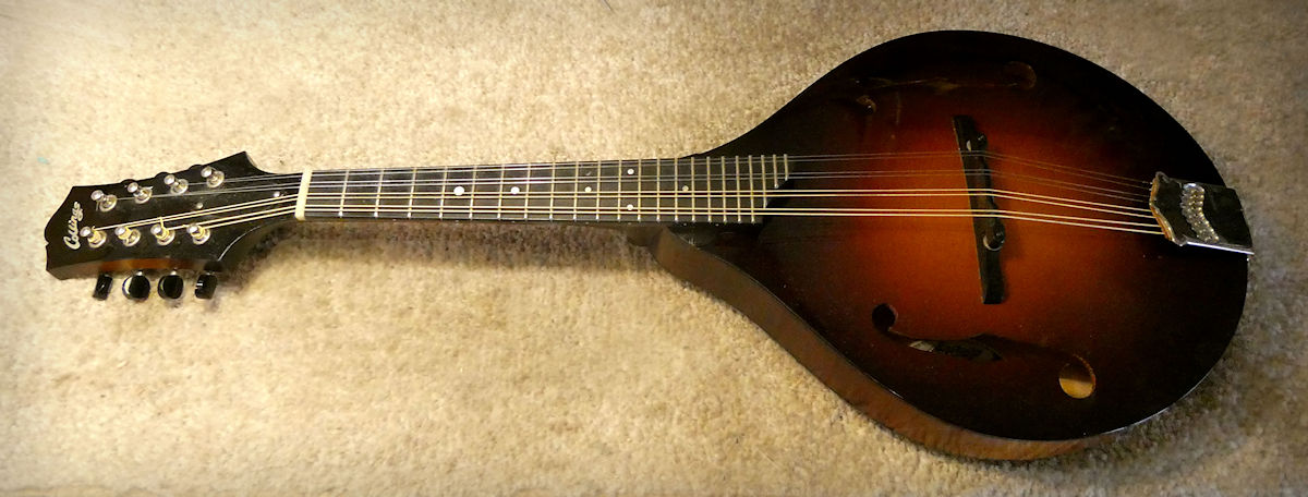 Collings Mandolin