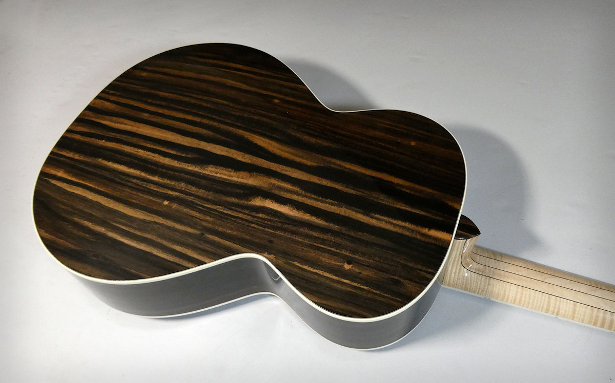 Ebony back of Brook bass