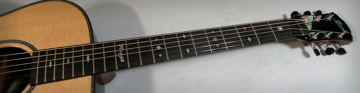 Lamorna Fretboard Inlays