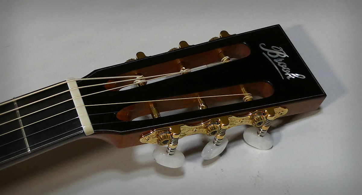 Brook Tamar Headstock